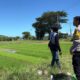 Dukung Ketahanan Pangan, Bhabinkamtibmas Desa Sabedo Sambangi Petani Padi di Sawah