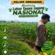 Anggota Polsek Singgahan Polresta Tuban Turun Cek Tanaman jagung Warga di Desa Lajo lor