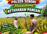 Bhabinkamtibmas Polsek Senori Polresta Tuban Pantau Tanaman Jagung Warga Desa Leran Guna Dukung Ketahanan Pangan Nasional