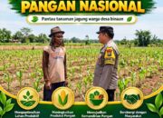 “POLSEK KEREK POLRESTA TUBAN LAKUKAN PEMANTAUAN TANAMAN JAGUNG WARGA BINAAN”