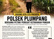Polsek Plumpang Polresta Tuban Turun Langsung Cek Tanaman Jagung Warga