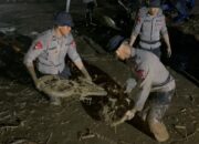 SAAT GALODO MENERJANG SOLOK, POLRI HADIR MELAYANI: SAR DIKERAHKAN, MAPOLRES JADI TEMPAT PENGUNGSIAN