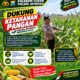 Wujudkan Swasembada Pangan, Polsek Jatirogo sambang lokasi lahan Jagung di Desa Demit