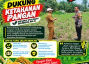 Dukung Astacita, Polsek Palang Polresta Tuban Pantau Langsung Lahan Jagung milik warga Desa Glodog