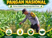 Dukung Ketahanan Pangan Nasional