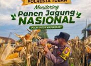 KoDukung Ketahanan Pangan Nasional, Bripda Dodi Eko Lakukan Pendampingan Panen Jagung Warga di Desa Sukoharjo
