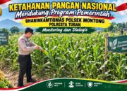 Polsek Montong Polresta Tuban Turun Cek Tanaman jagung Warga di Desa Pucangan