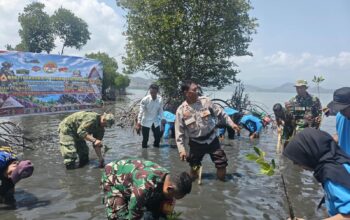 Sinergi TNI-Polri dan Pelajar Tanam Mangrove Serentak di Pulau Kaung, Cegah Abrasi Pesisir Pantai