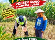 Polri Dukung Astacita, Polsek Merakurak Polres Tuban Turun Cek Tanaman Jagung Warga di Desa Tuwiri Wetan