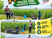 Polsek Soko Polresta Tuban Turun Langsung Cek Tanaman Jagung Warga