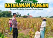 Anggota Bhabinkamtibmas Polsek Senori Polresta Tuban Lakukan Pemantauan Tanaman Jagung Warga Desa Leran Dukung Program Ketahanan Pangan