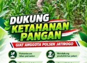 Dukung Asta Cita, Polsek Jatirogo Turun Langsung Pantau Ladang Jagung Warga Desa Besowo