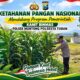 Mendukung Asta Cita Presiden Polmas Polsek Montong Polresta Tuban Pantau Kodisi Tanaman Jagung Milik Warga Desa Jetak
