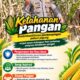 Mendukung Program Ketahanan Pangan, Bhabinkamtibmas Monitoring Pertumbuhan Jagung