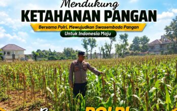 Polsek Tuban Pantau Lahan Jagung, Dukung Program Ketahanan Pangan Nasional