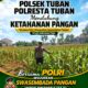 Polsek Tuban Pantau Lahan Jagung, Dukung Program Ketahanan Pangan Nasional