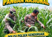 Konsep Otomatis