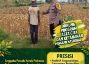 DUKUNG KETAHANAN PANGAN, ANGGOTA POLMAS SAMBANG LAHAN JAGUNG DI DESA BINAAN