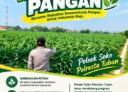 Polsek Soko Polresta Tuban Turun Langsung Cek Tanaman Jagung Warga