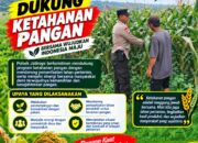 Polri dukung progam Astacita, Polsek Jatirogo Polresta Tuban Turun Cek Tanaman jagung Warga di Desa Dingil