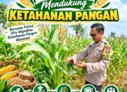 Polisi RW Polsek Senori Polresta Tuban Monitoring Tanaman Jagung Warga Desa Medalem
