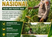 Polsek Soko Polresta Tuban Turun Langsung Cek Tanaman Jagung Warga