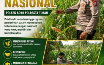 Polsek Soko Polresta Tuban Turun Langsung Cek Tanaman Jagung Warga