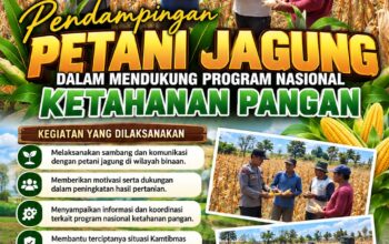 Dukung Ketahanan Pangan Nasional, Polsek Bancar Turun Ke Lahan Jagung Warga Desa Pacing
