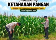 Polsek Tuban Dukung Ketahanan Pangan, Bhabinkamtibmas Monitoring Tanaman Jagung