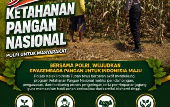 Dukung Ketahanan Pangan, Polsek Kerek Sambang Lahan Jagung di Desa Binaan