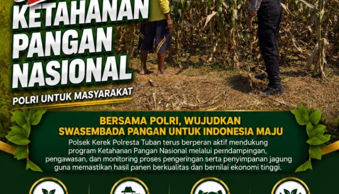 Dukung Ketahanan Pangan, Polsek Kerek Sambang Lahan Jagung di Desa Binaan