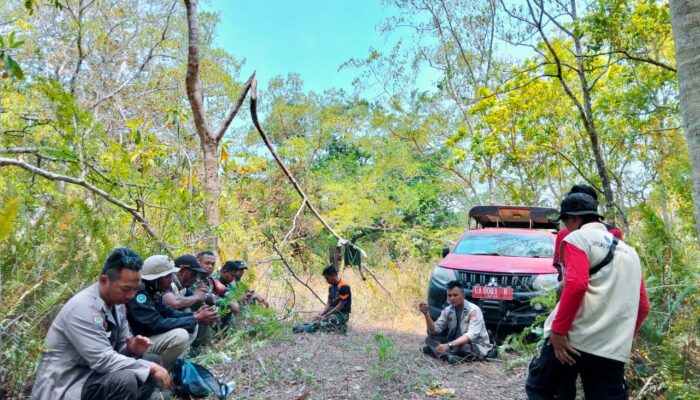 Smart Patrol Gabungan TNI-Polri dan Pengelola Kawasan Cegah Kerusakan Hutan di Taman Nasional Gunung Tambora