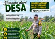Polri dukung progam Astacita, Polsek Jatirogo Polresta Tuban Turun Cek Tanaman jagung Warga di Desa Paseyan