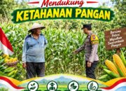 Bhabinkamtibmas Polsek Senori Polresta Tuban Pantau Tanaman Jagung Warga Desa Sendang Guna Dukung Ketahanan Pangan Nasional