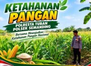 Polri Dukung Astacita, Polsek Semanding Polresta Tuban Turun Cek Tanaman jagung milik Warga di Desa Prunggahan Wetan