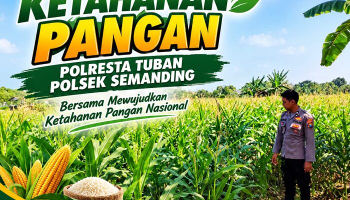 Polri Dukung Astacita, Polsek Semanding Polresta Tuban Turun Cek Tanaman jagung milik Warga di Desa Prunggahan Wetan