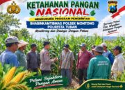 Mendukung Asta Cita Presiden bhabinkamtibmas Polsek Montong Polresta Tuban Pantau Kodisi Tanaman Jagung Milik Warga Desa pakel