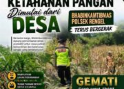 Polri Dukung Astacita, Polsek Rengel Polresta Tuban Turun Cek Tanaman Jagung Warga di Desa Pekuwon