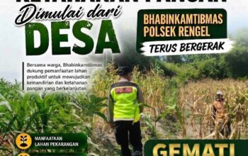 Polri Dukung Astacita, Polsek Rengel Polresta Tuban Turun Cek Tanaman Jagung Warga di Desa Pekuwon