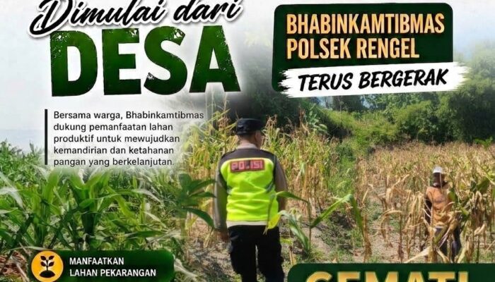 Polri Dukung Astacita, Polsek Rengel Polresta Tuban Turun Cek Tanaman Jagung Warga di Desa Pekuwon