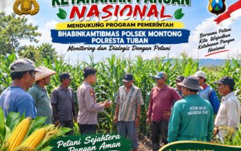 Mendukung Asta Cita Presiden bhabinkamtibmas Polsek Montong Polresta Tuban Pantau Kodisi Tanaman Jagung Milik Warga Desa pakel