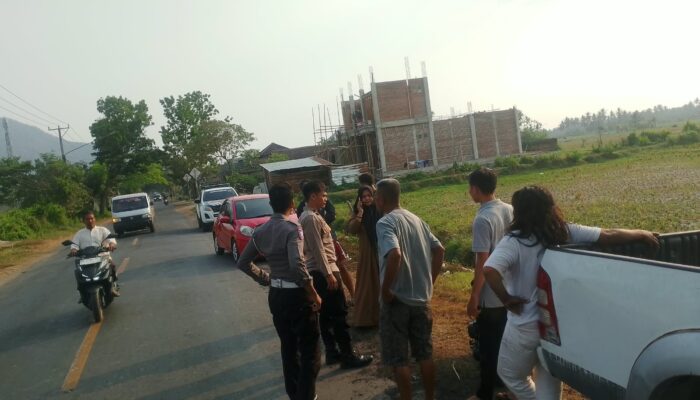 Pengendara Vario Terjatuh Usai Hindari Anak Sapi di Jalan Raya Telaga Bertong