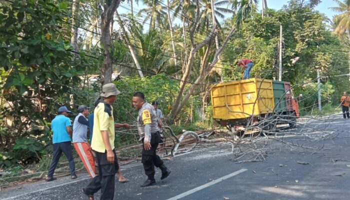 Bhabinkamtibmas Kelurahan Geres Amankan Penebangan Pohon, Antisipasi Gangguan Pengguna Jalan