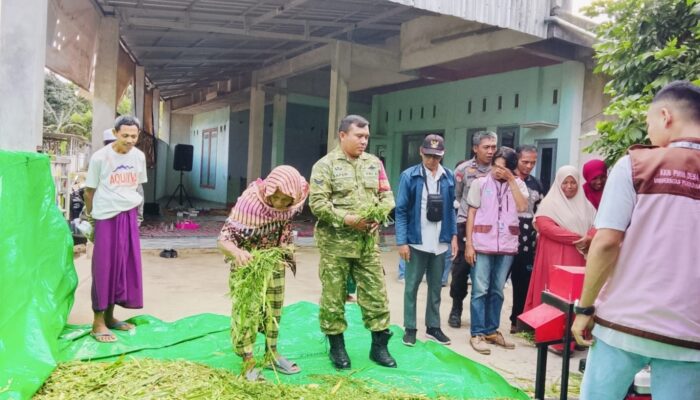 Sinergi Babinsa dan Mahasiswa KKN Perkuat Ekonomi Peternak Desa