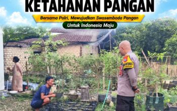 Polsek Tuban Dukung Ketahanan Pangan, Bhabinkamtibmas Pantau Pemanfaatan Lahan Pekarangan Warga