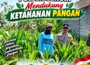 Mendukung Asta Cita Presiden Dibidang Ketahanan Pangan Polisi RW Polsek Senori Polresta Tuban Pantau Kodisi Tanaman Jagung Milik Warga Desa Medalem