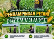 Polsek Parengan Polresta Tuban Turun Langsung Cek Tanaman Jagung Warga