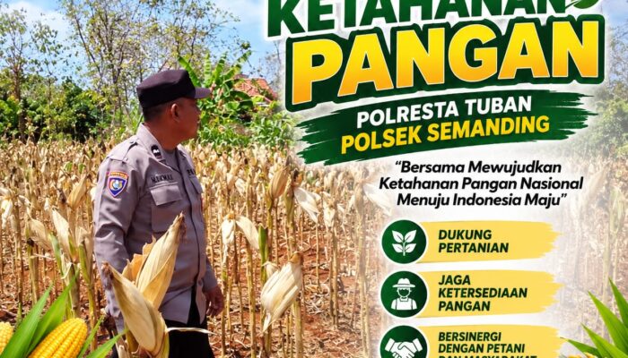 Polri Dukung Astacita, Polsek Semanding Polresta Tuban Turun Cek Tanaman jagung milik Warga di Desa Bektiharjo