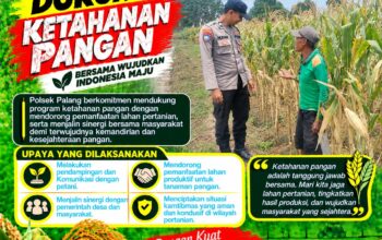 Dukung Astacita, Polsek Palang Polresta Tuban Pantau Langsung Lahan Jagung milik warga Desa Wangun
