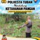 Bhabinkamtibmas Polsek Tuban Pantau Lahan Warga, Dukung Ketahanan Pangan
